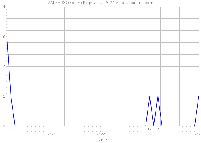 AMMA SC (Spain) Page visits 2024 