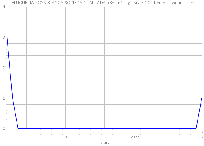 PELUQUERIA ROSA BLANCA SOCIEDAD LIMITADA. (Spain) Page visits 2024 