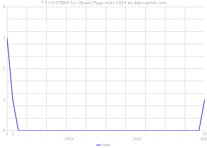 T S I SYSTEMS S.L. (Spain) Page visits 2024 