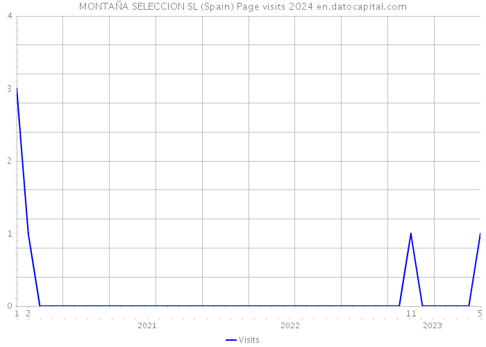 MONTAÑA SELECCION SL (Spain) Page visits 2024 