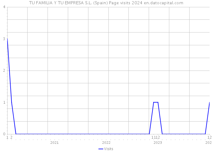 TU FAMILIA Y TU EMPRESA S.L. (Spain) Page visits 2024 