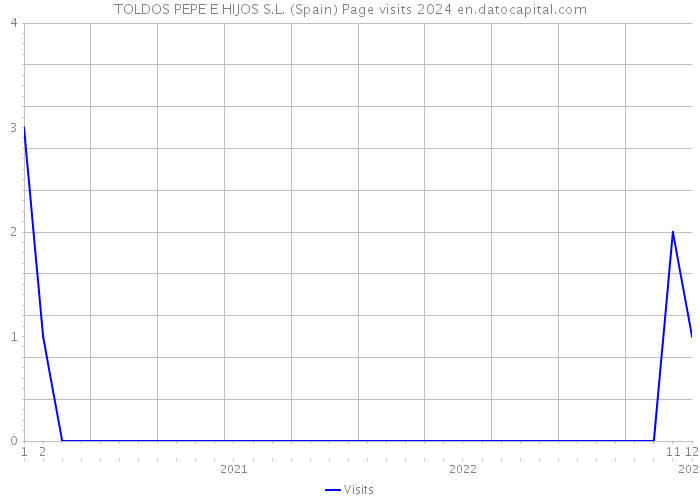 TOLDOS PEPE E HIJOS S.L. (Spain) Page visits 2024 