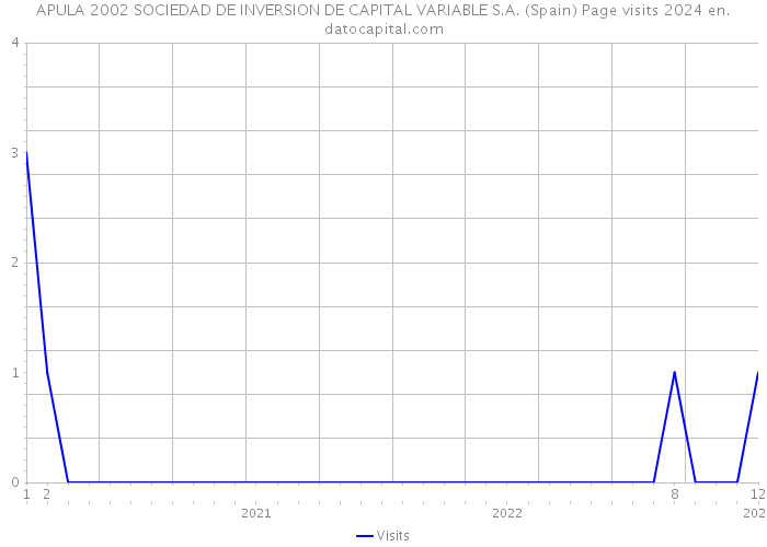 APULA 2002 SOCIEDAD DE INVERSION DE CAPITAL VARIABLE S.A. (Spain) Page visits 2024 