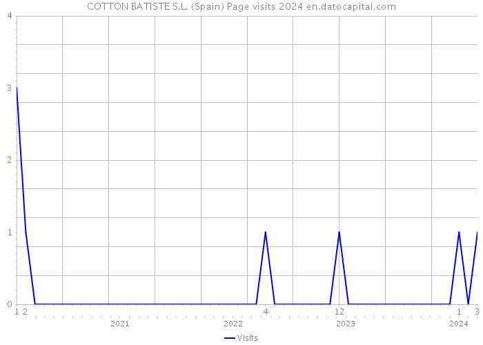 COTTON BATISTE S.L. (Spain) Page visits 2024 