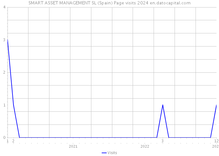SMART ASSET MANAGEMENT SL (Spain) Page visits 2024 