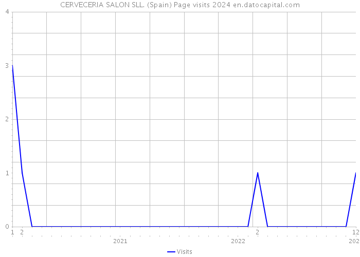 CERVECERIA SALON SLL. (Spain) Page visits 2024 
