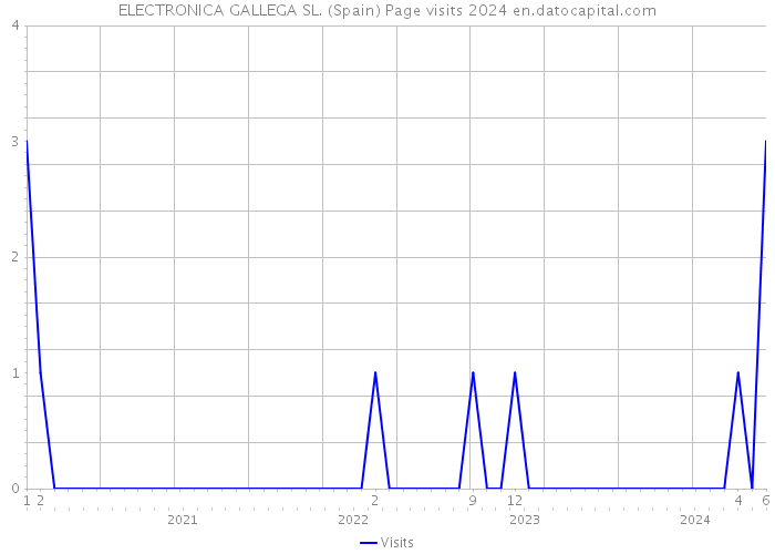 ELECTRONICA GALLEGA SL. (Spain) Page visits 2024 