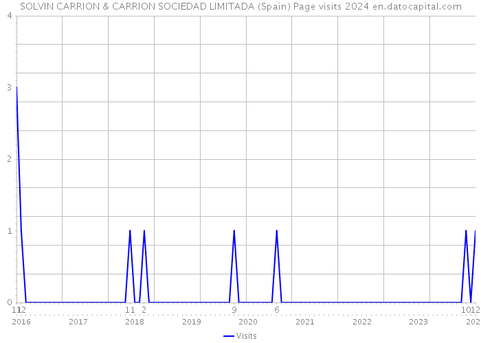 SOLVIN CARRION & CARRION SOCIEDAD LIMITADA (Spain) Page visits 2024 