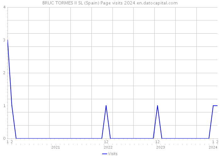 BRUC TORMES II SL (Spain) Page visits 2024 