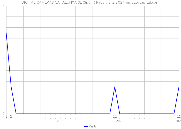 DIGITAL CAMERAS CATALUNYA SL (Spain) Page visits 2024 
