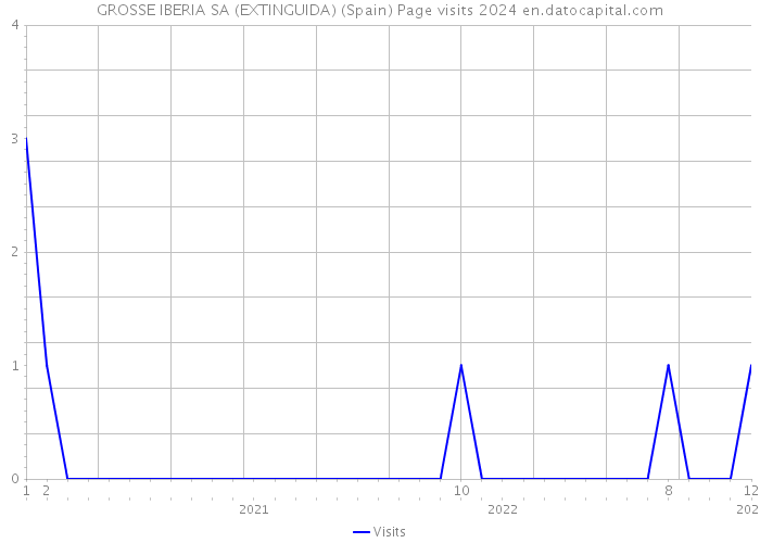 GROSSE IBERIA SA (EXTINGUIDA) (Spain) Page visits 2024 