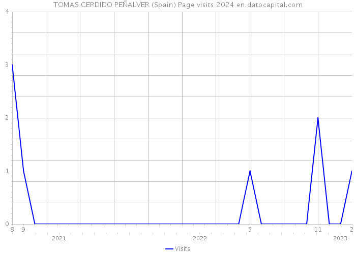 TOMAS CERDIDO PEÑALVER (Spain) Page visits 2024 