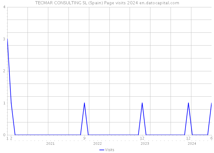 TECMAR CONSULTING SL (Spain) Page visits 2024 