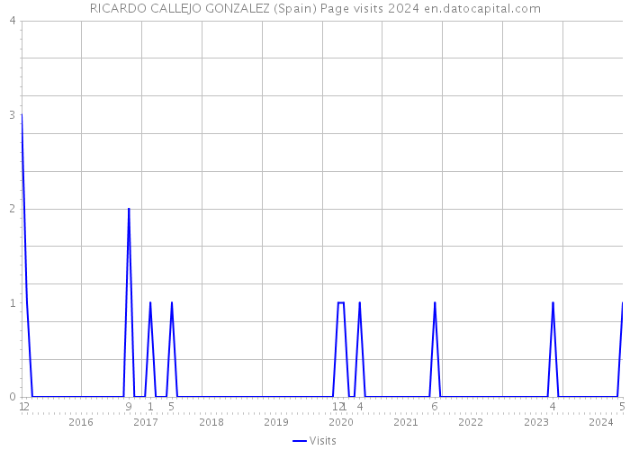 RICARDO CALLEJO GONZALEZ (Spain) Page visits 2024 