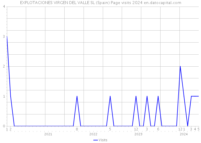 EXPLOTACIONES VIRGEN DEL VALLE SL (Spain) Page visits 2024 