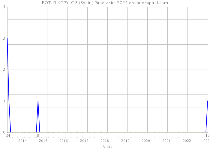 ROTUR KOPY, C.B (Spain) Page visits 2024 