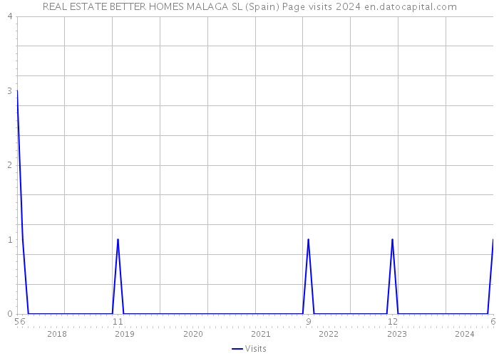 REAL ESTATE BETTER HOMES MALAGA SL (Spain) Page visits 2024 