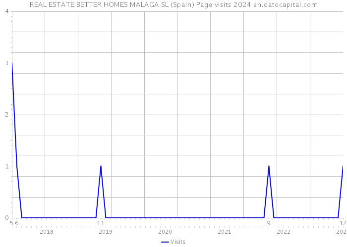 REAL ESTATE BETTER HOMES MALAGA SL (Spain) Page visits 2024 
