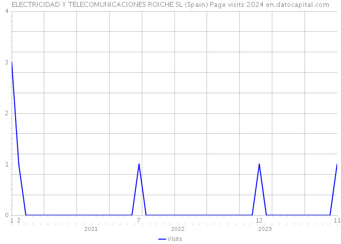ELECTRICIDAD Y TELECOMUNICACIONES ROICHE SL (Spain) Page visits 2024 