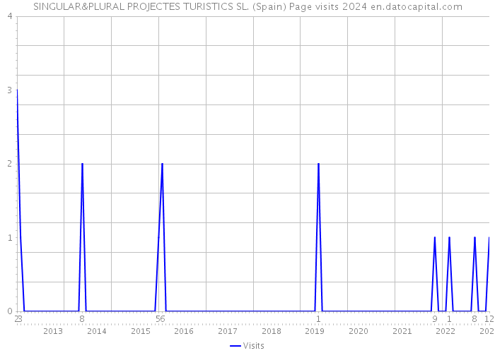 SINGULAR&PLURAL PROJECTES TURISTICS SL. (Spain) Page visits 2024 