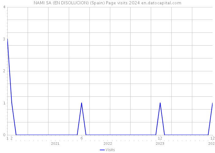NAMI SA (EN DISOLUCION) (Spain) Page visits 2024 