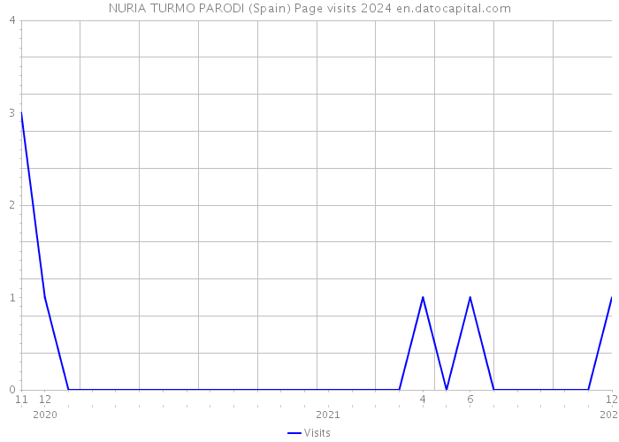 NURIA TURMO PARODI (Spain) Page visits 2024 