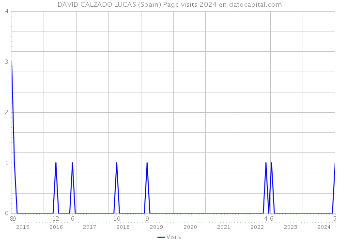 DAVID CALZADO LUCAS (Spain) Page visits 2024 