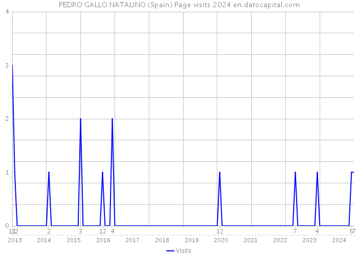 PEDRO GALLO NATALINO (Spain) Page visits 2024 