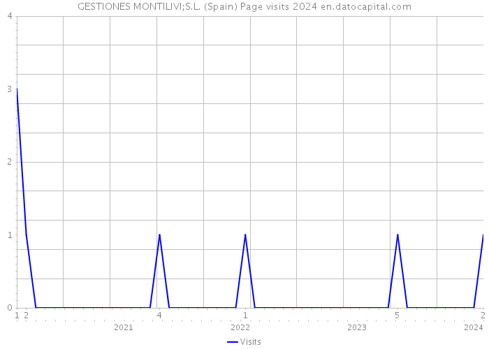 GESTIONES MONTILIVI;S.L. (Spain) Page visits 2024 