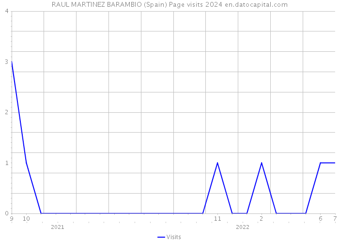RAUL MARTINEZ BARAMBIO (Spain) Page visits 2024 