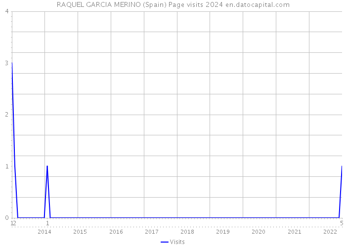 RAQUEL GARCIA MERINO (Spain) Page visits 2024 