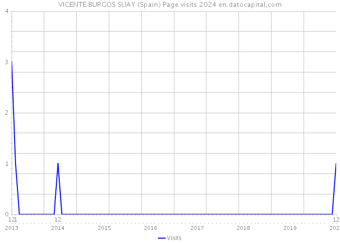 VICENTE BURGOS SUAY (Spain) Page visits 2024 