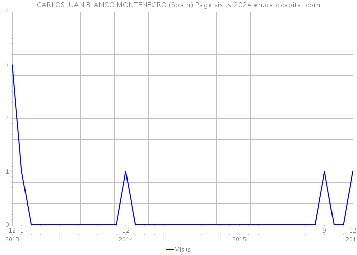 CARLOS JUAN BLANCO MONTENEGRO (Spain) Page visits 2024 