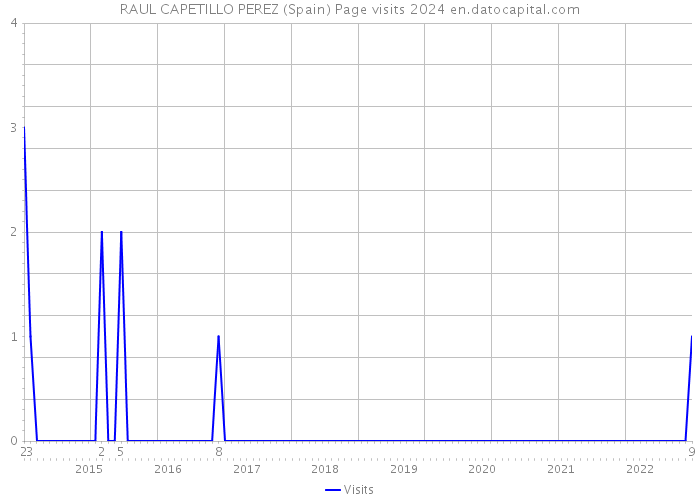 RAUL CAPETILLO PEREZ (Spain) Page visits 2024 