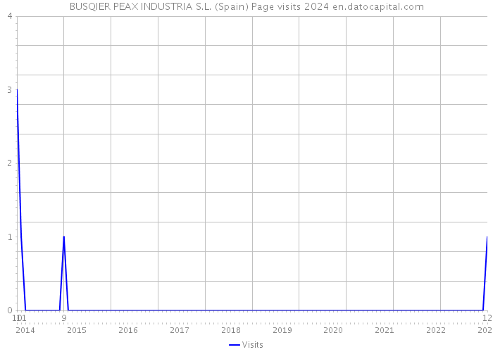 BUSQIER PEAX INDUSTRIA S.L. (Spain) Page visits 2024 