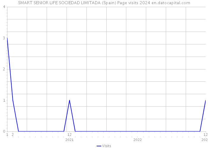 SMART SENIOR LIFE SOCIEDAD LIMITADA (Spain) Page visits 2024 