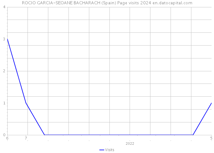 ROCIO GARCIA-SEOANE BACHARACH (Spain) Page visits 2024 