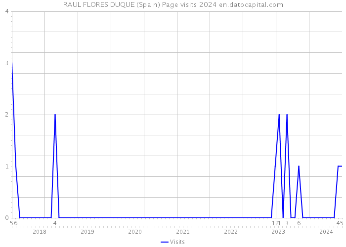 RAUL FLORES DUQUE (Spain) Page visits 2024 