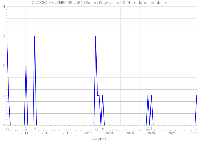 IGNACIO SANCHEZ BRUNET (Spain) Page visits 2024 