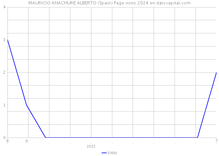 MAURICIO ANACHURE ALBERTO (Spain) Page visits 2024 