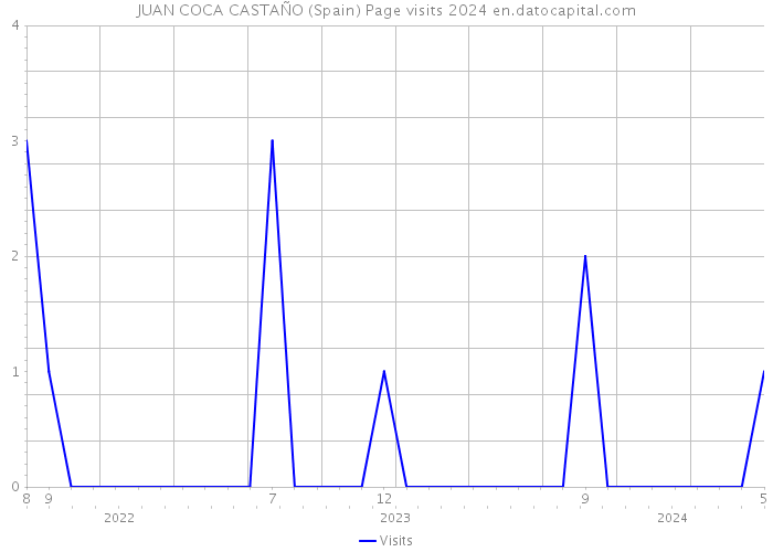 JUAN COCA CASTAÑO (Spain) Page visits 2024 