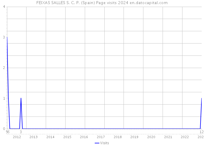 FEIXAS SALLES S. C. P. (Spain) Page visits 2024 