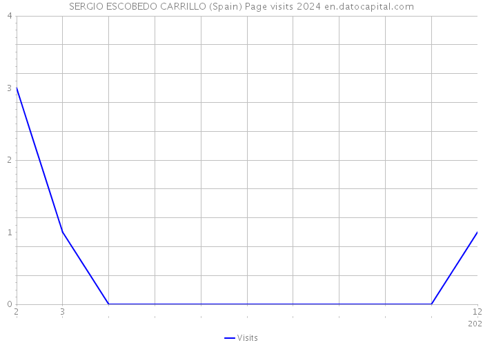 SERGIO ESCOBEDO CARRILLO (Spain) Page visits 2024 