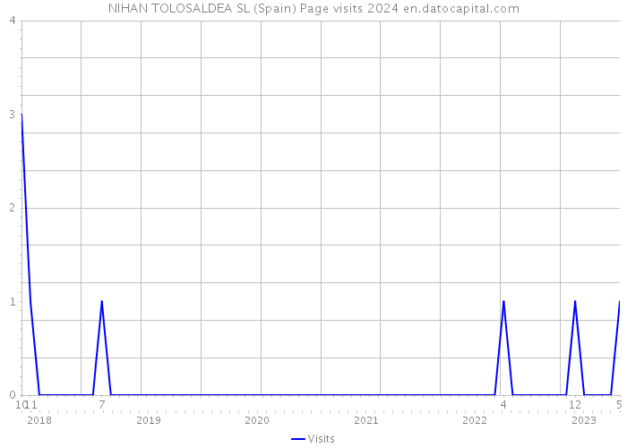 NIHAN TOLOSALDEA SL (Spain) Page visits 2024 