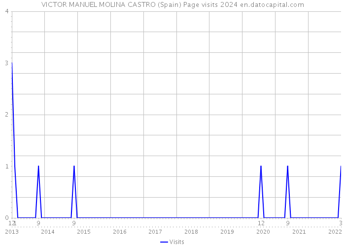 VICTOR MANUEL MOLINA CASTRO (Spain) Page visits 2024 