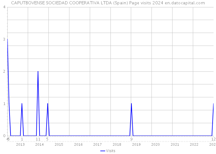 CAPUTBOVENSE SOCIEDAD COOPERATIVA LTDA (Spain) Page visits 2024 