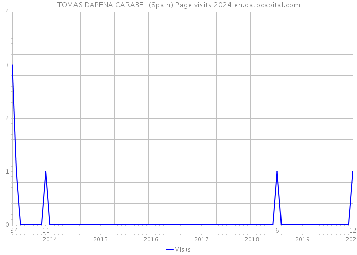 TOMAS DAPENA CARABEL (Spain) Page visits 2024 