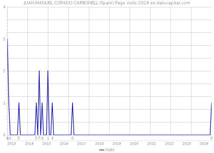 JUAN MANUEL COPADO CARBONELL (Spain) Page visits 2024 