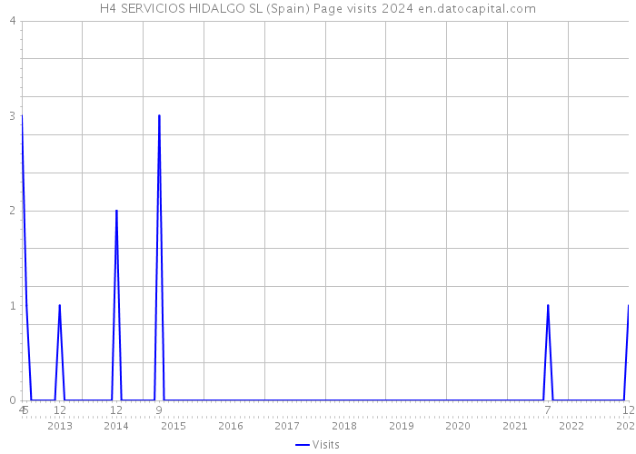 H4 SERVICIOS HIDALGO SL (Spain) Page visits 2024 