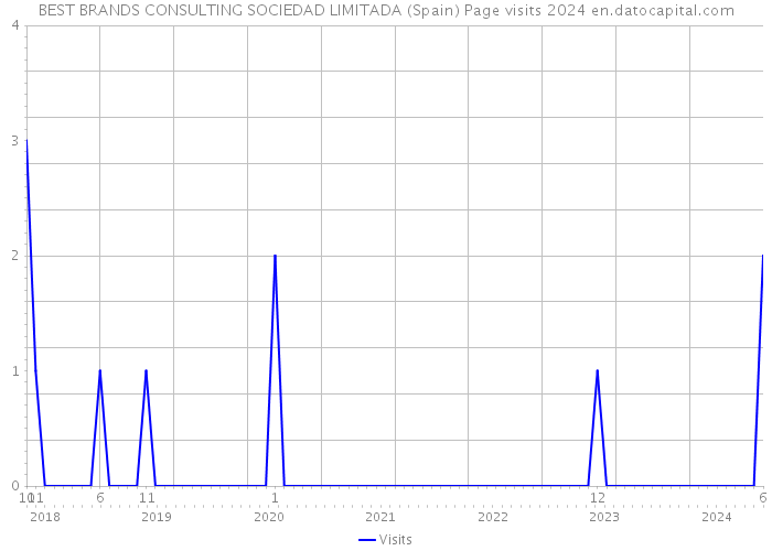 BEST BRANDS CONSULTING SOCIEDAD LIMITADA (Spain) Page visits 2024 